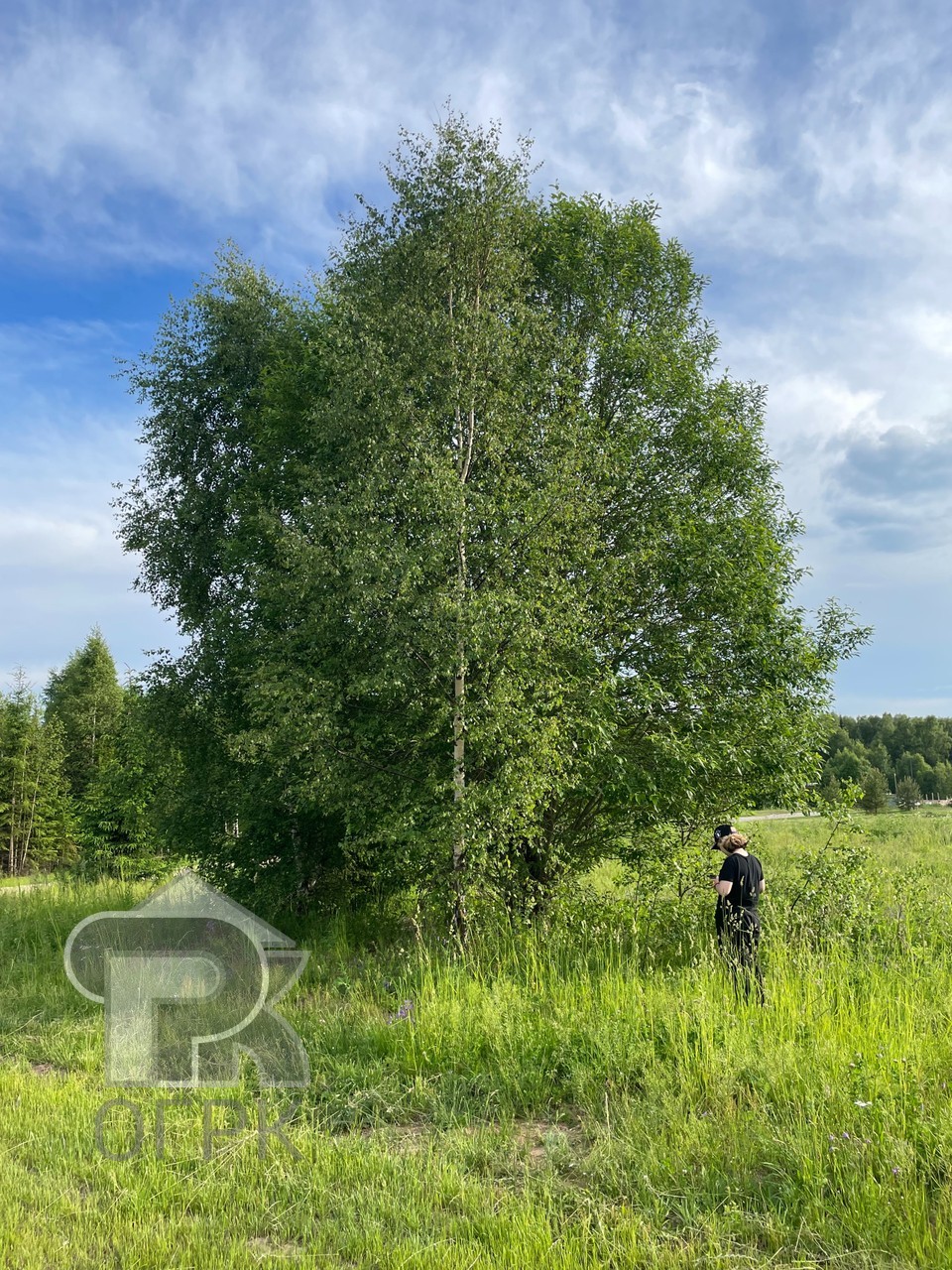 Купить землю, №390519