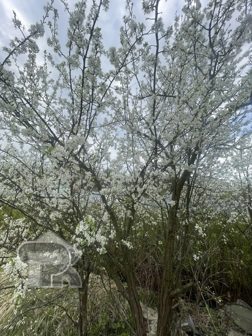 Купить дом, №388820