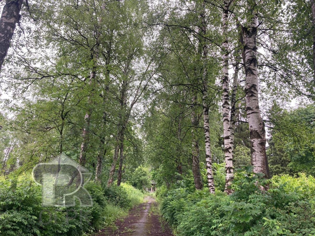 Купить землю, №384981