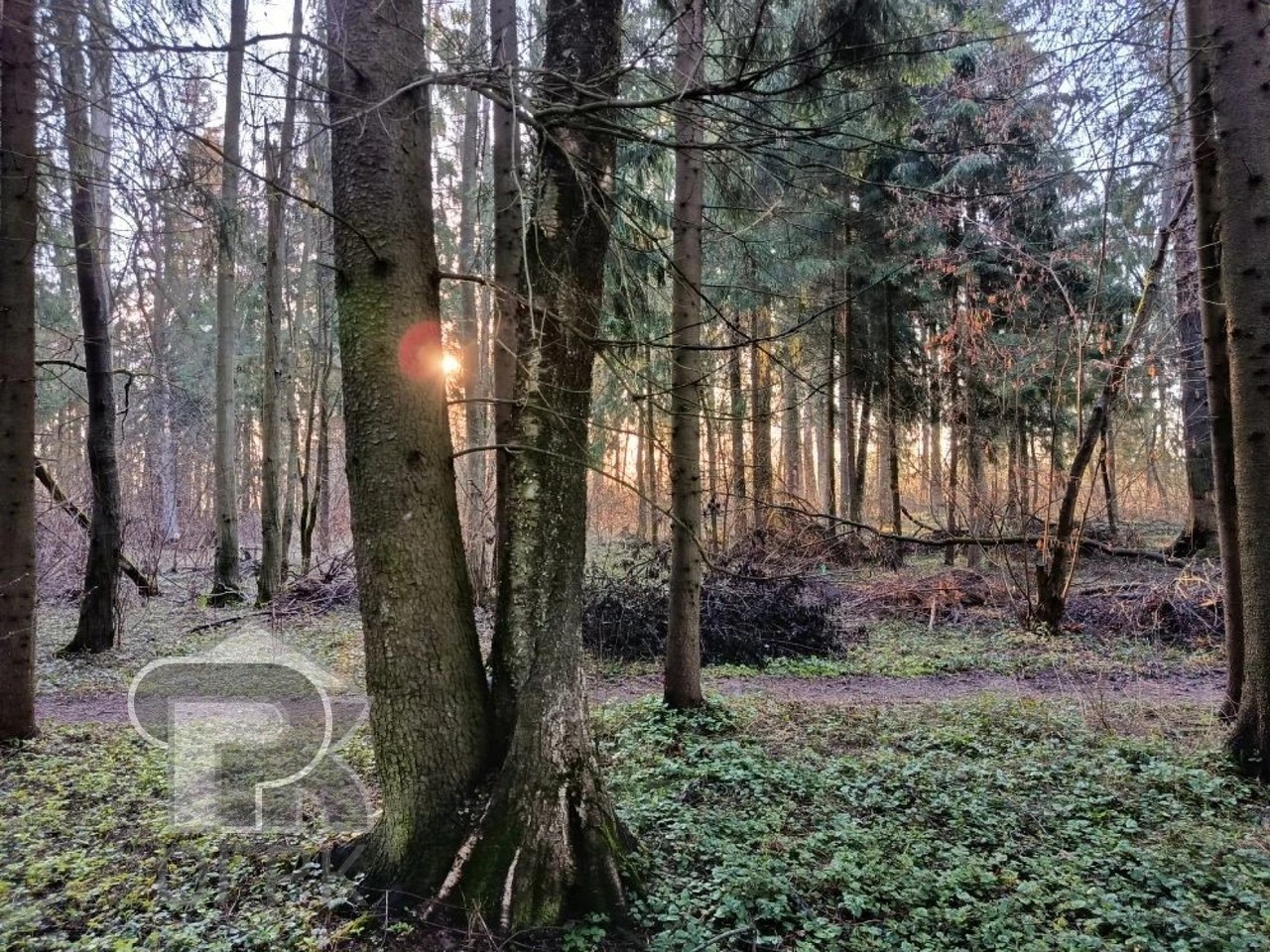 Купить землю, №389349