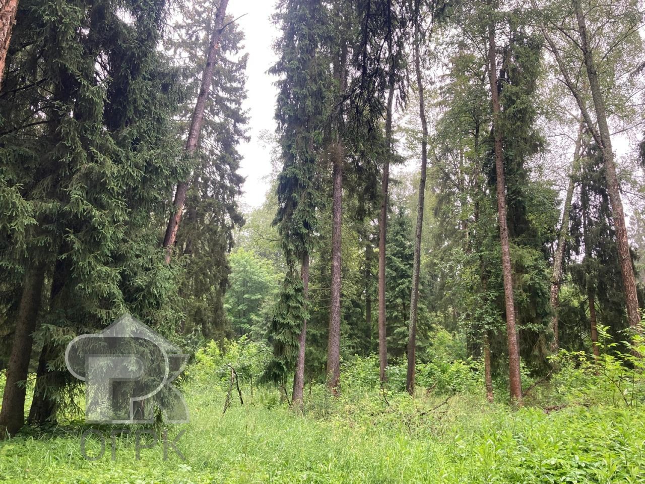 Купить землю, №384981