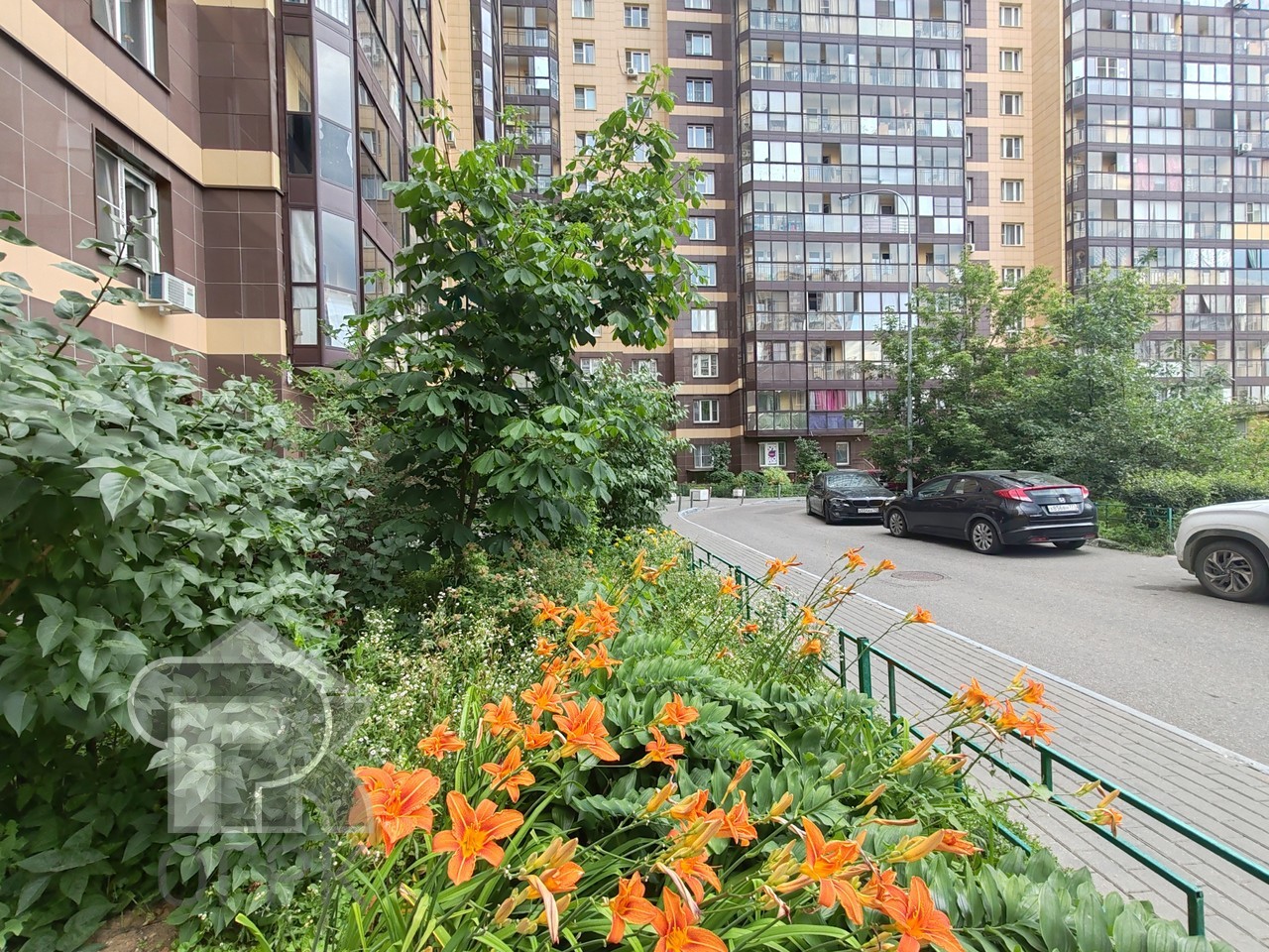 Купить студию, №385321
