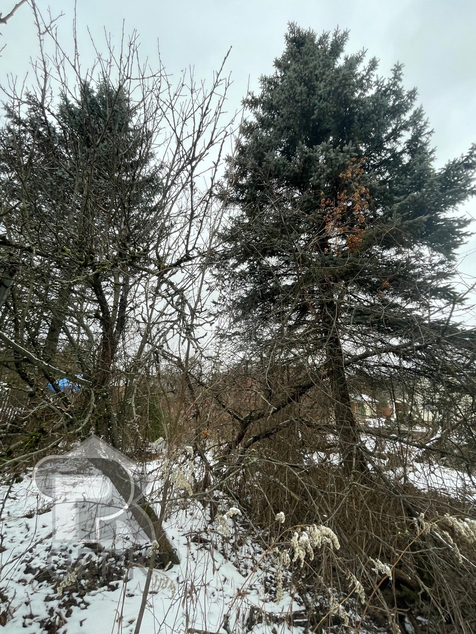 Купить дом, №384641