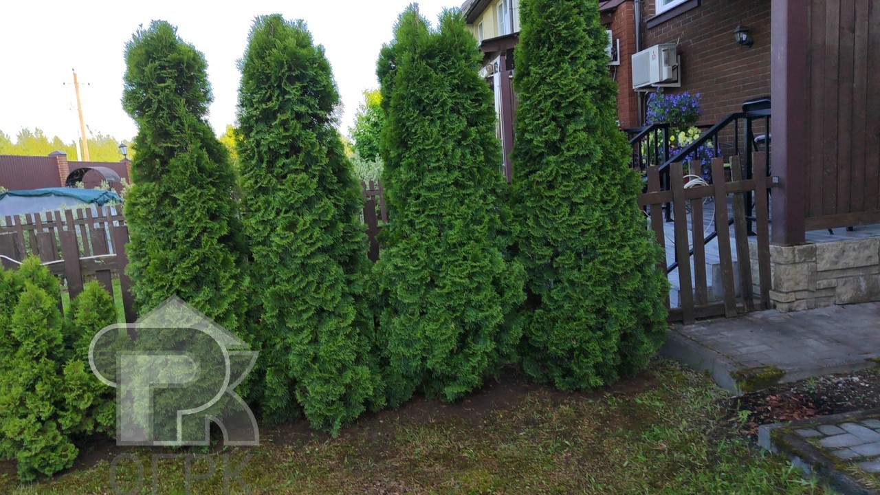 Купить таунхаус, №389006