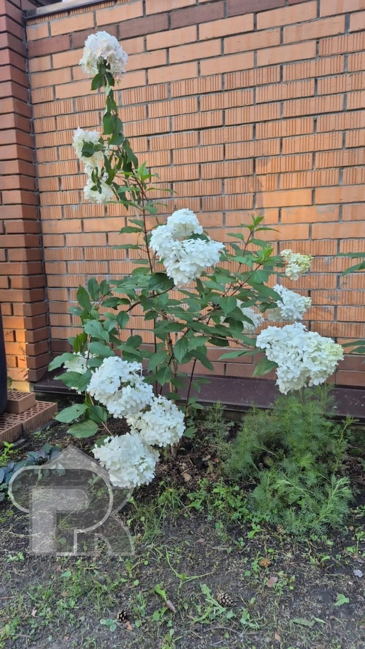 Купить дом, №389743