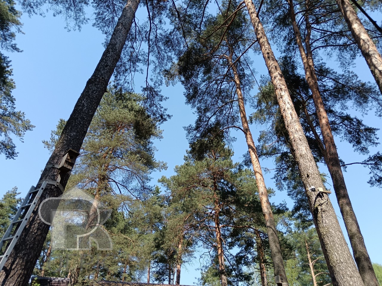 Купить дом, №389743