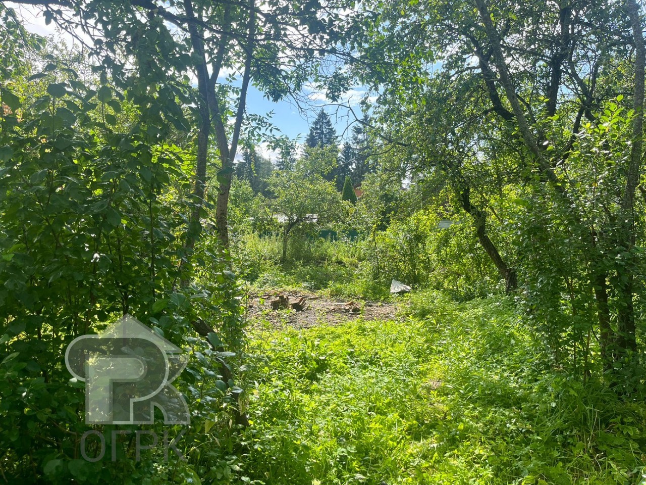 Купить землю, №386541