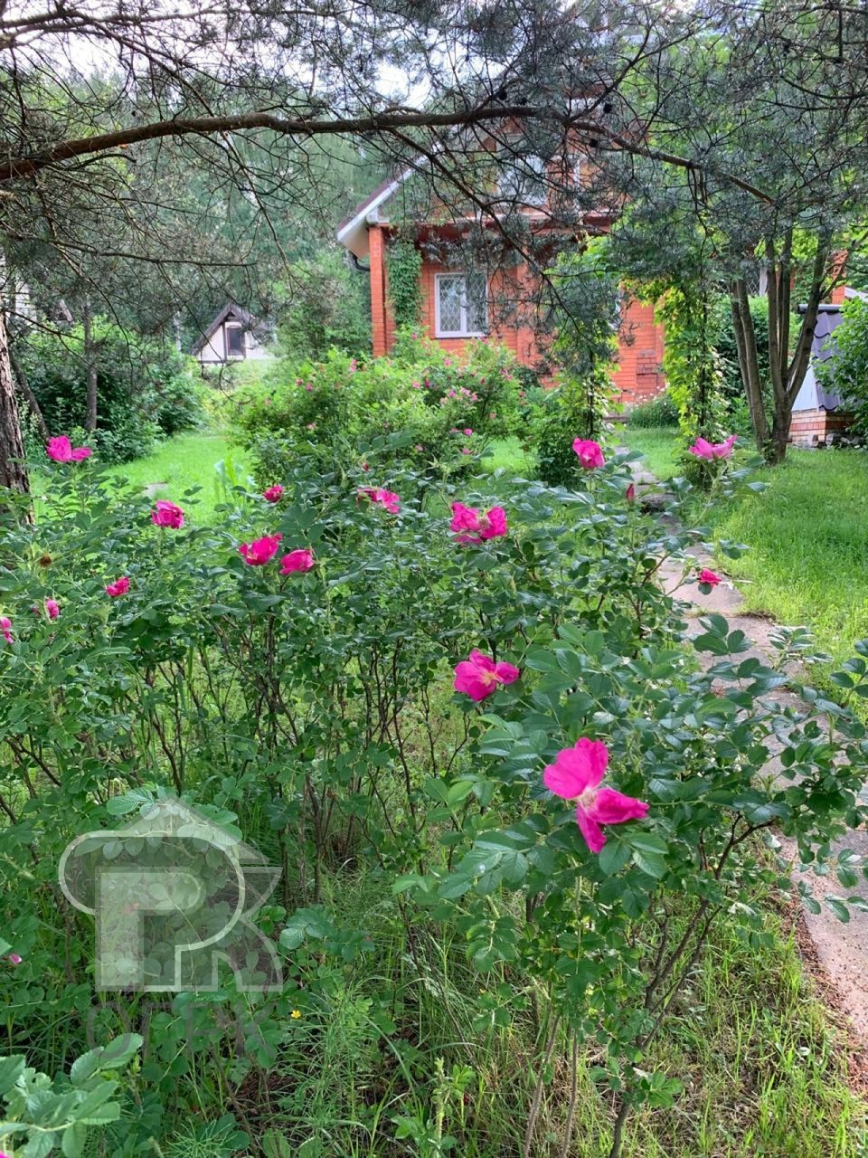 Купить дом, №386647