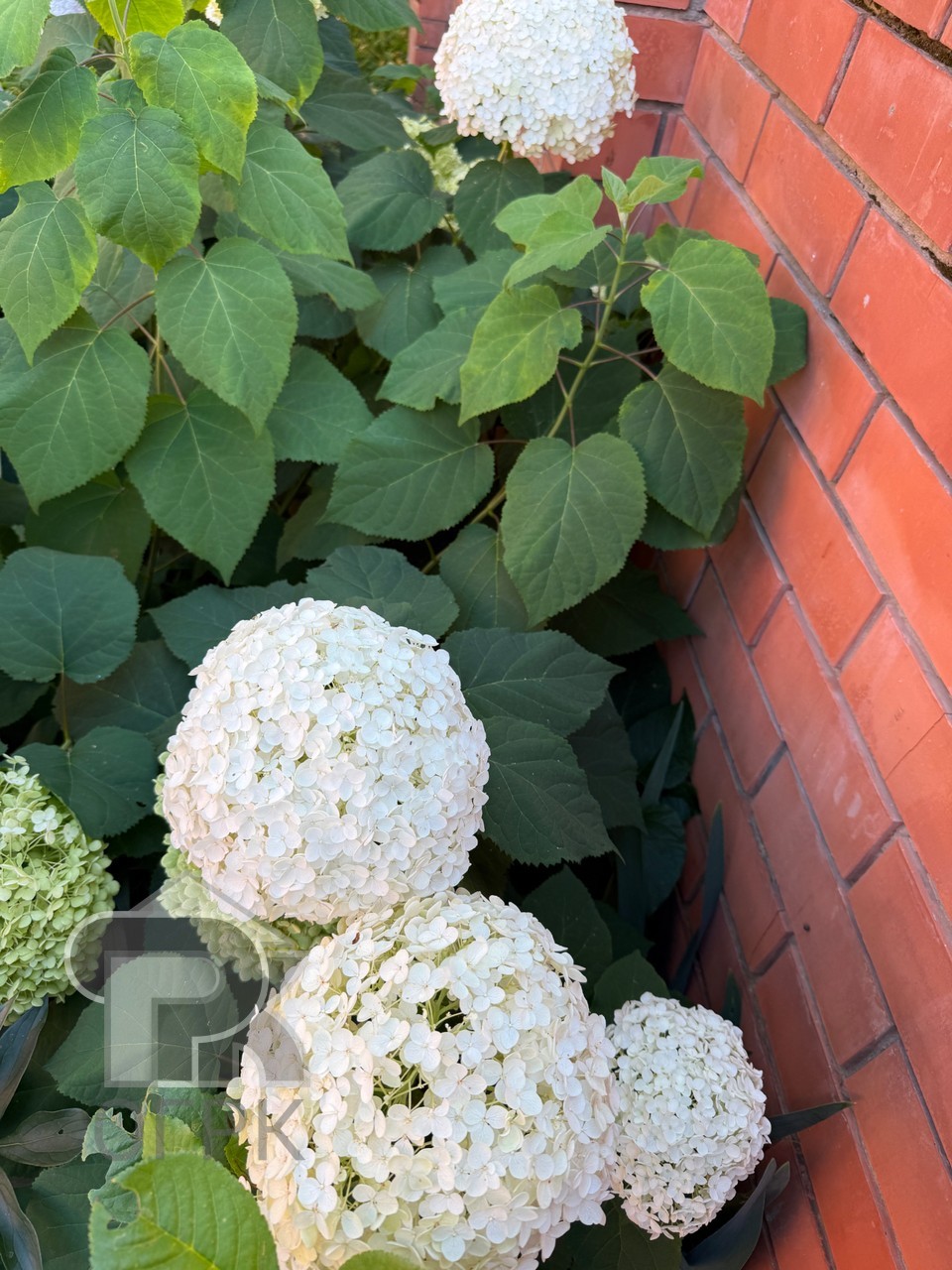 Купить коттедж, №391304