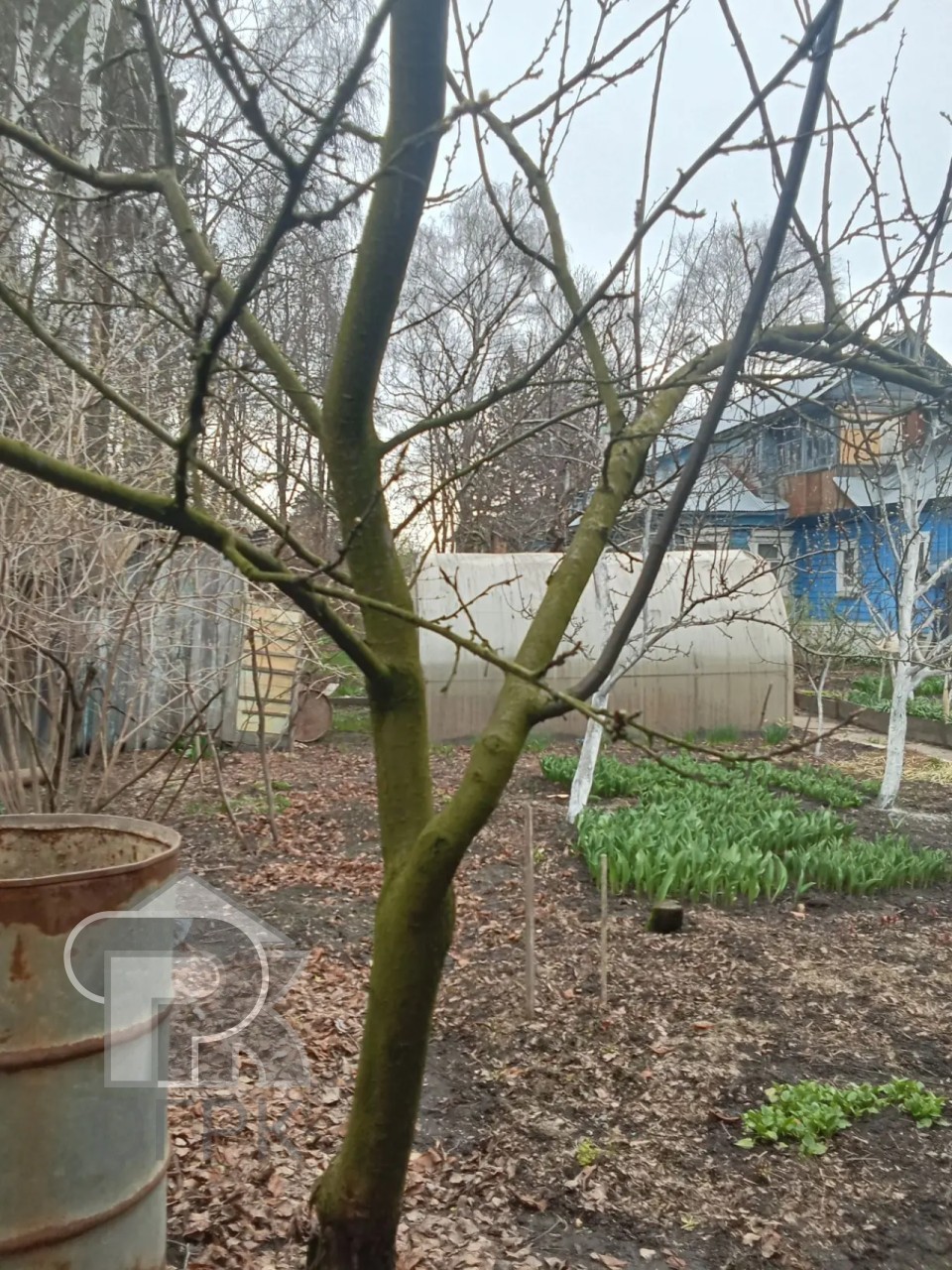 Купить дом, №389351