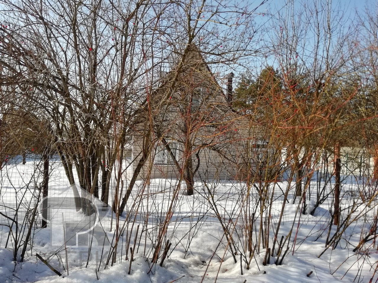 Купить дом, №388751