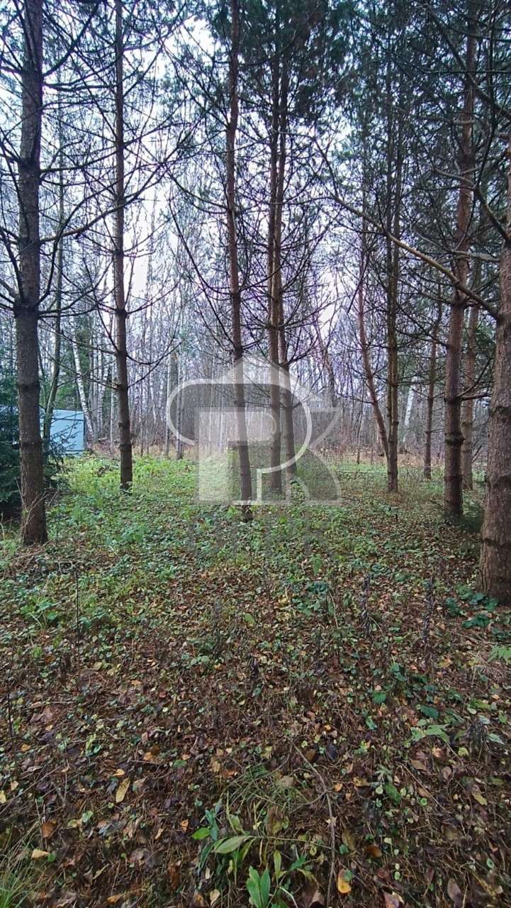 Купить землю, №384782