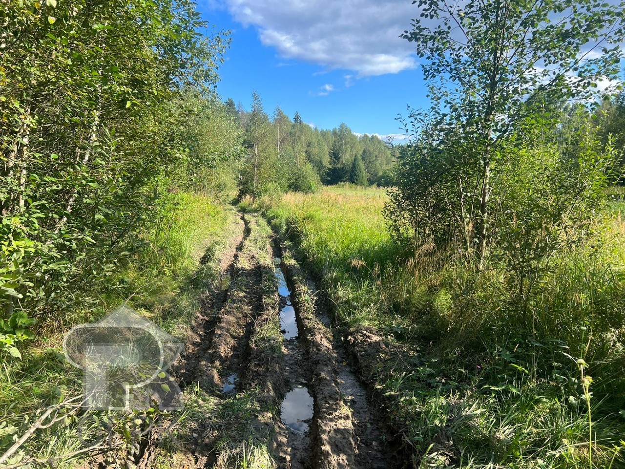 Купить землю, №386423