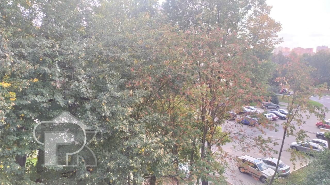 Купить 1-комнатную квартиру, №386678