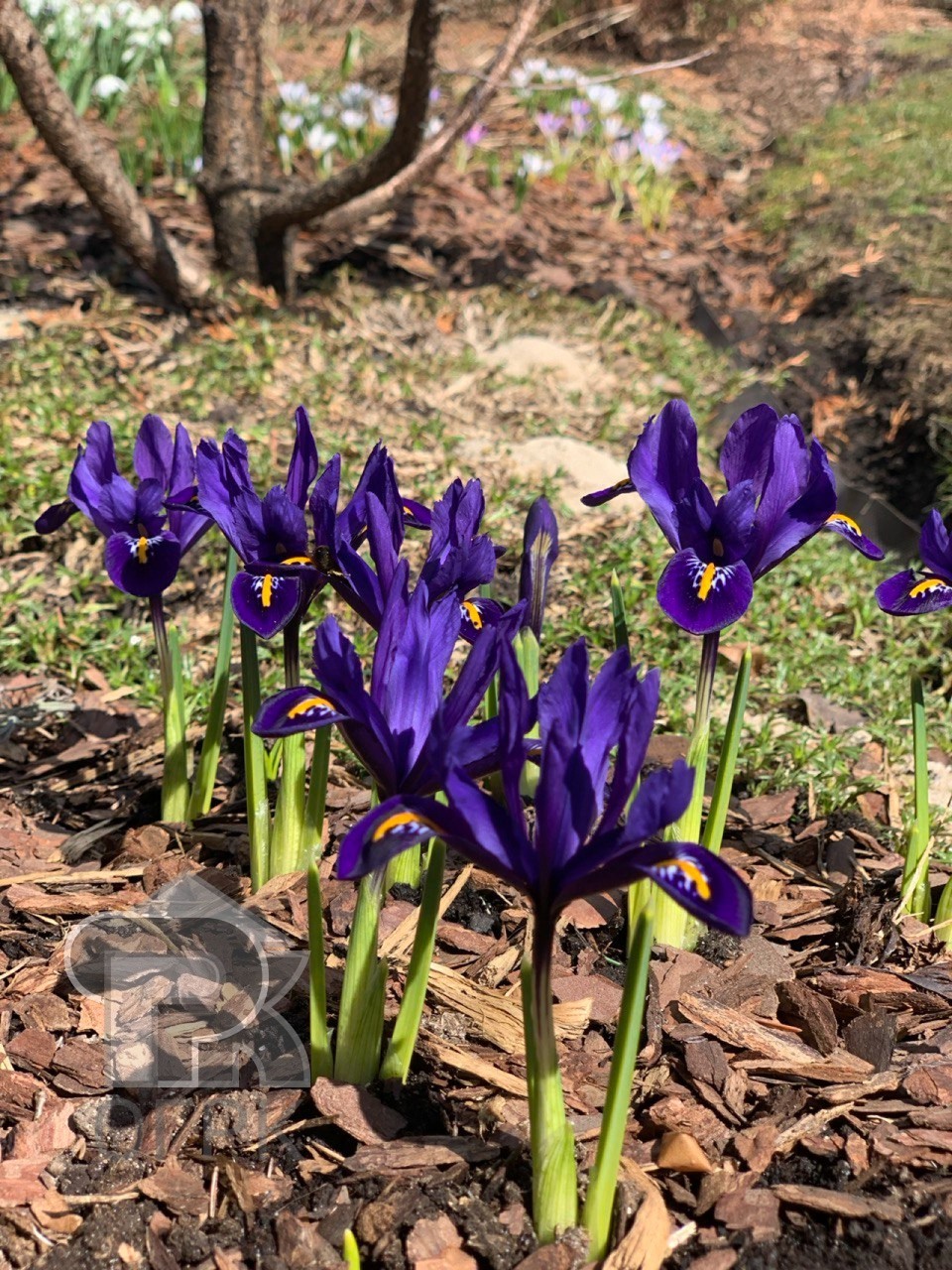 Купить коттедж, №388289