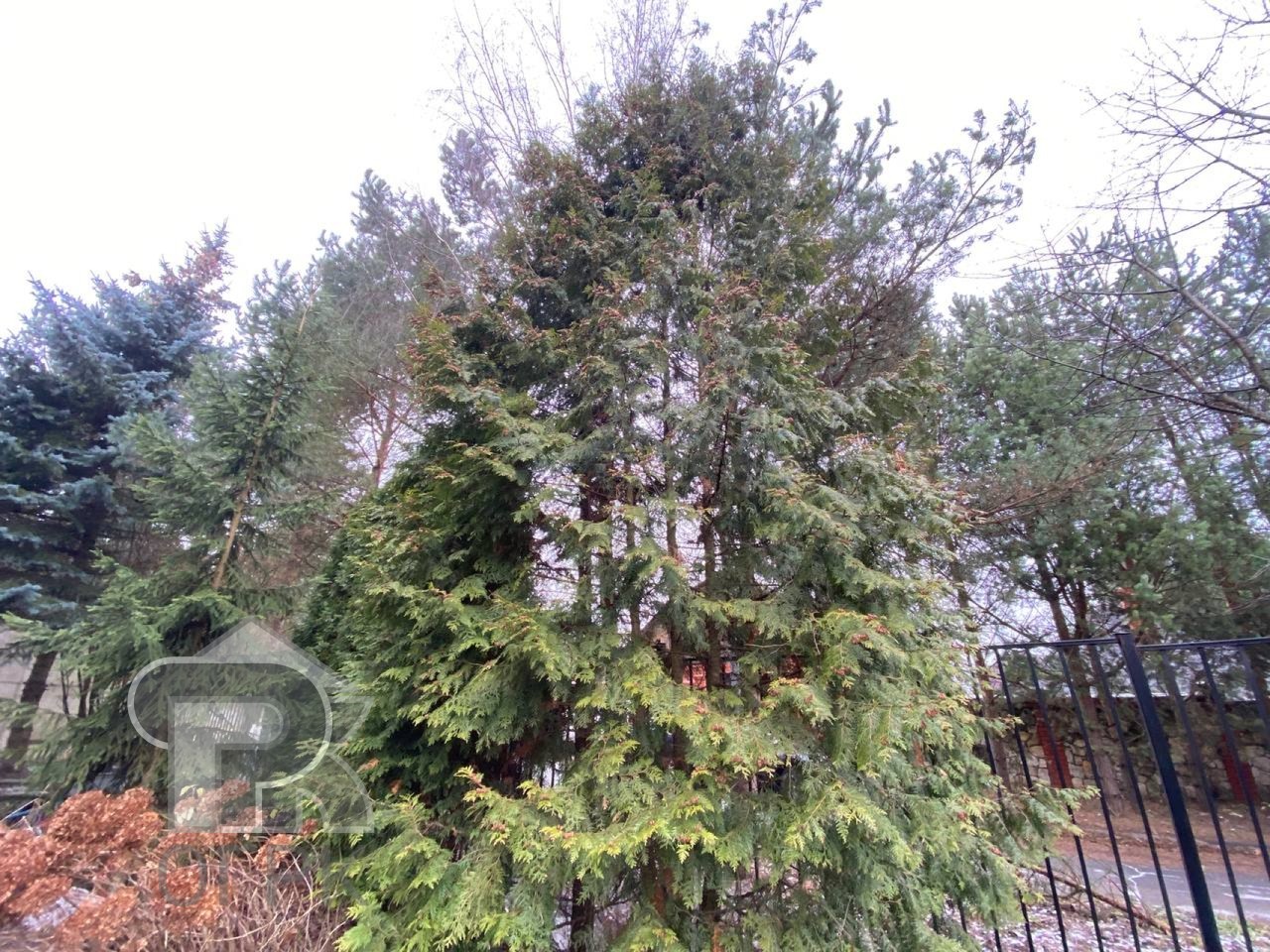 Купить дом, №387612