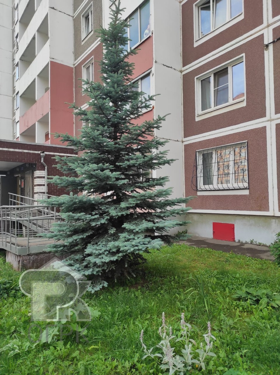 Купить 1-комнатную квартиру, №385947