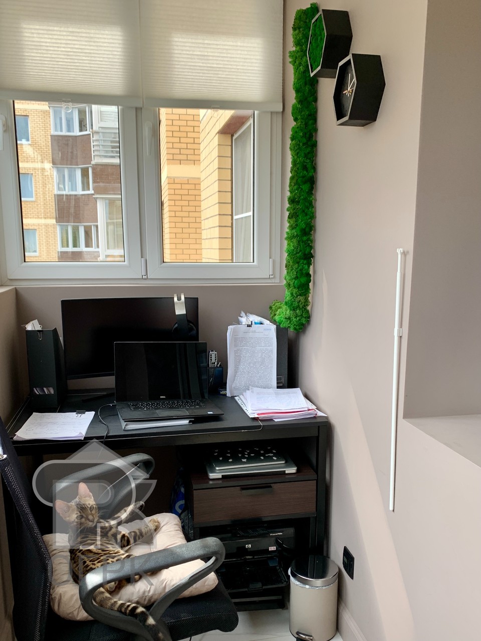 Купить 1-комнатную квартиру, №387905