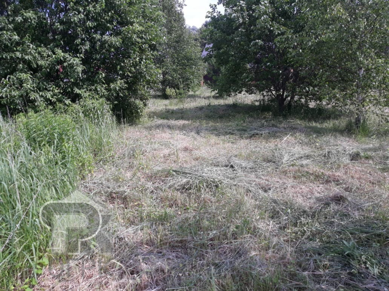 Купить землю, №316651