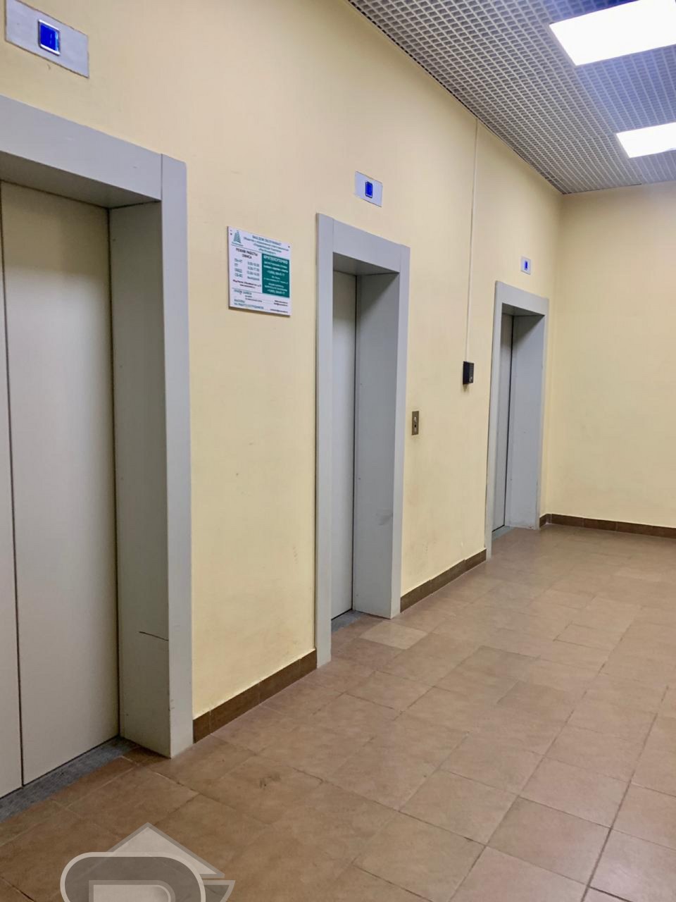 Купить студию, №338089