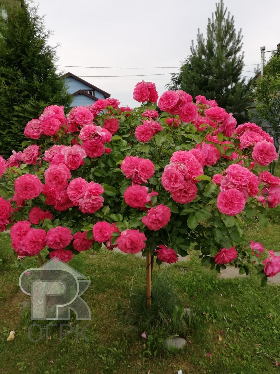 Купить дом, №384739