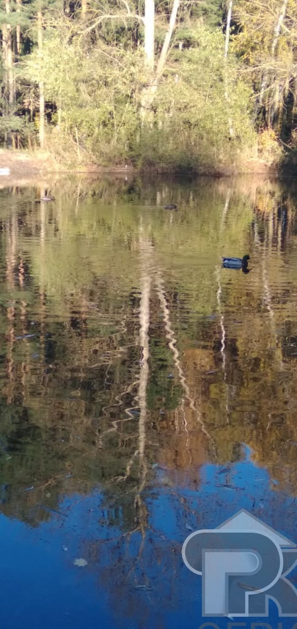 Купить 2-комнатную квартиру, №348062