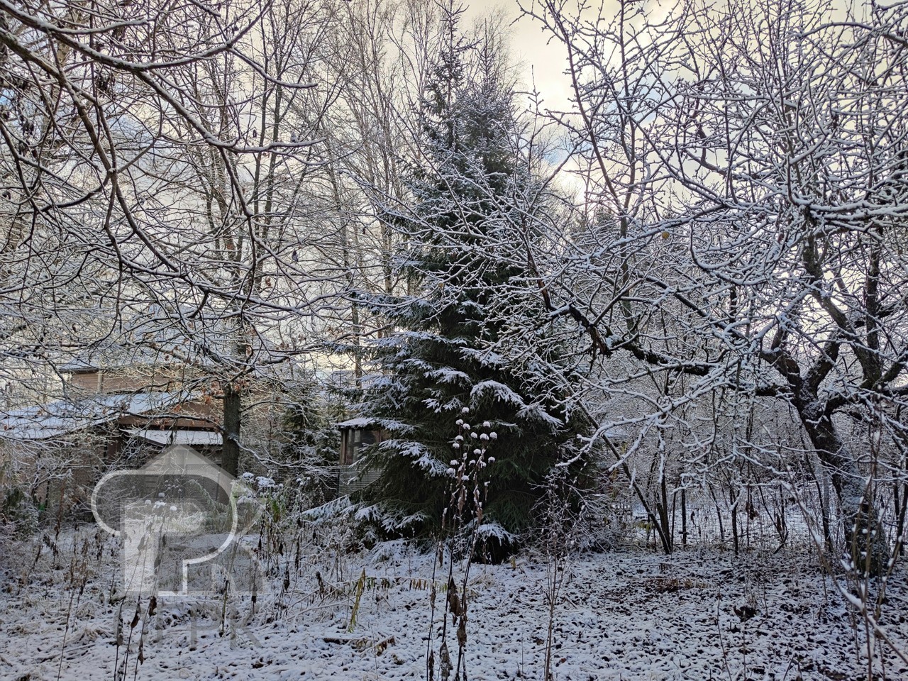 Купить землю, №387617