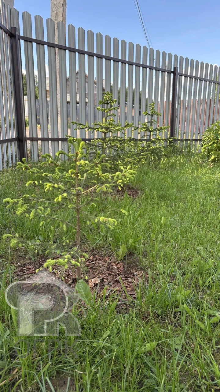 Купить коттедж, №390047