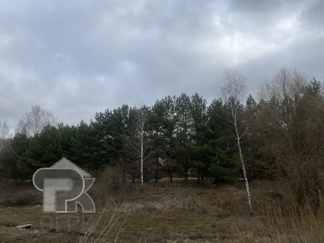 Купить землю, №389231