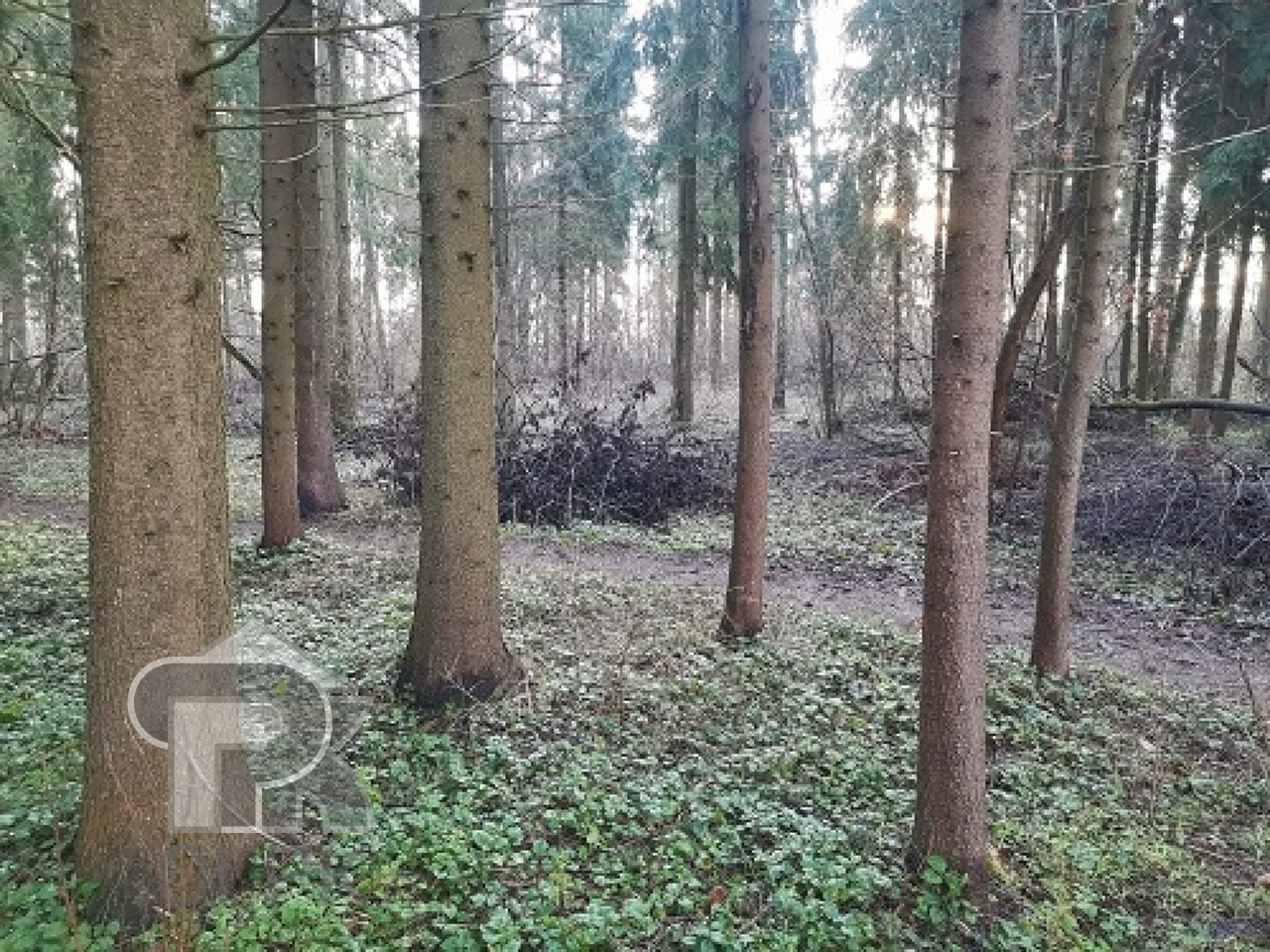 Купить землю, №389349