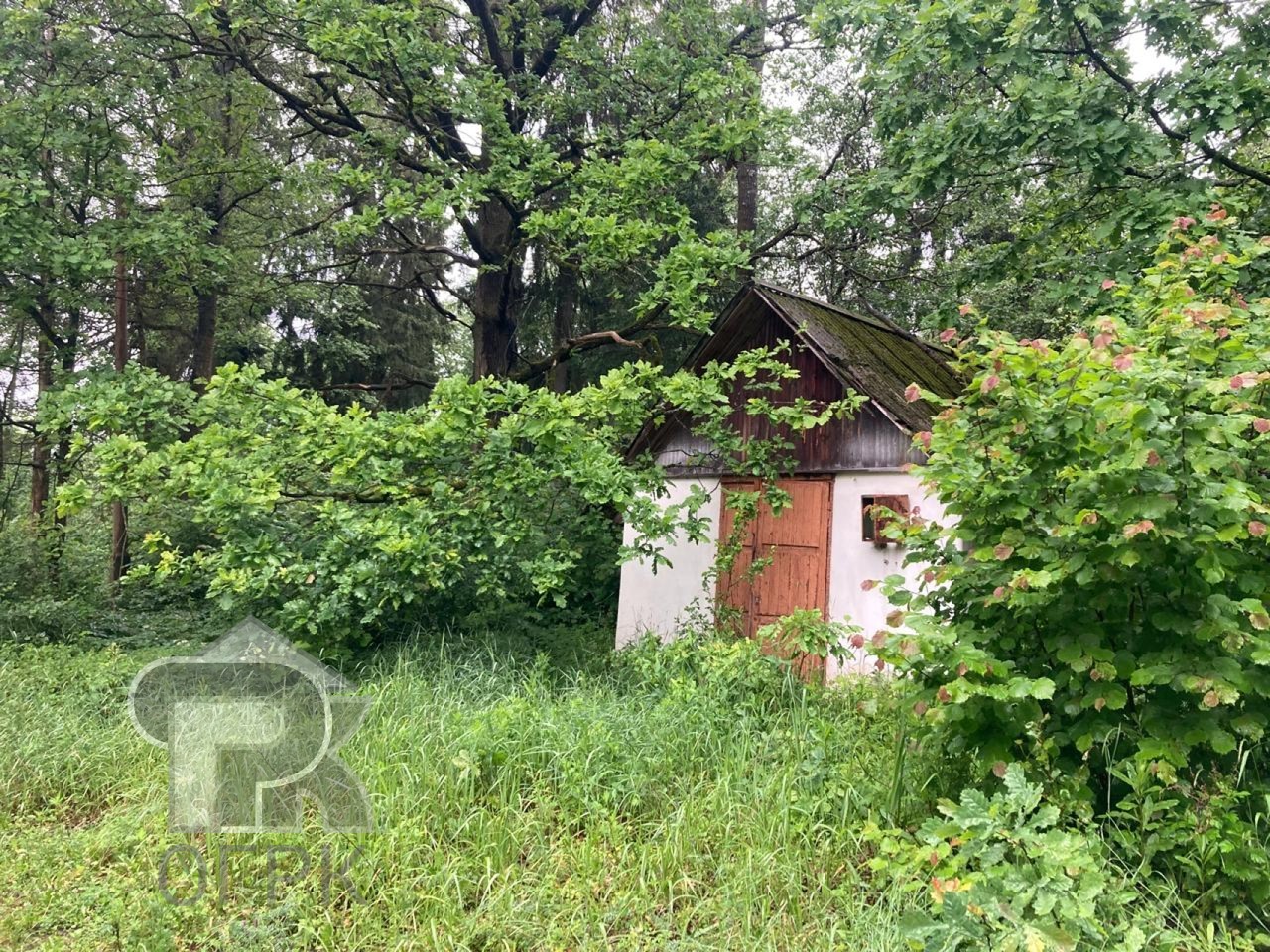 Купить землю, №384981