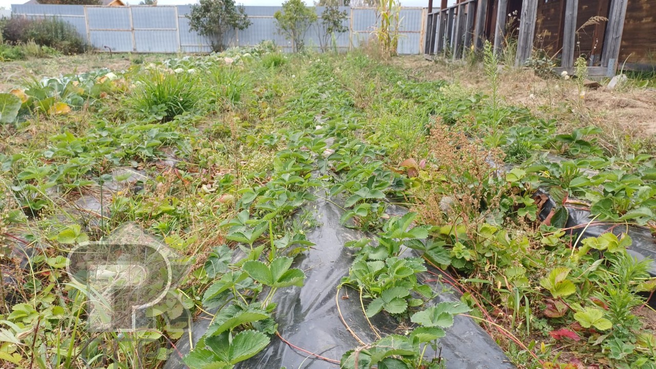 Купить дом, №387637