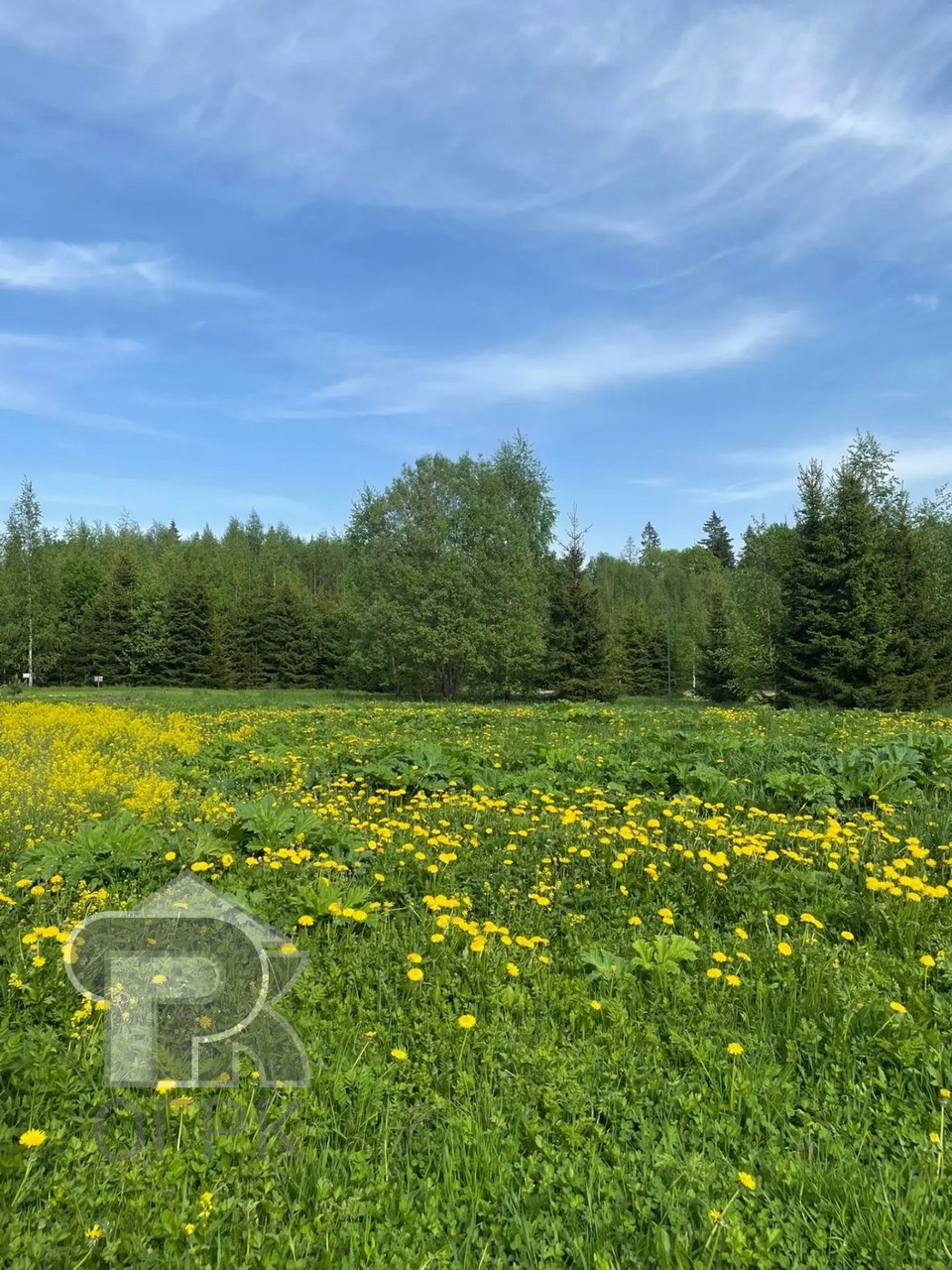 Купить землю, №390519