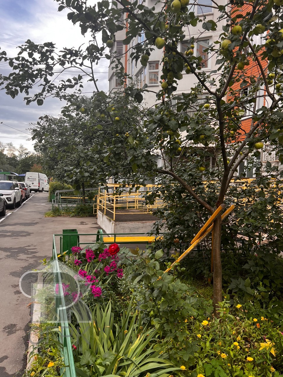 Купить 3-комнатную квартиру, №379031
