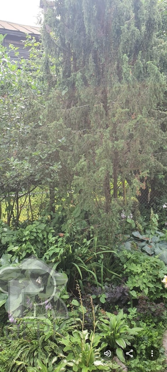 Купить дом, №387751