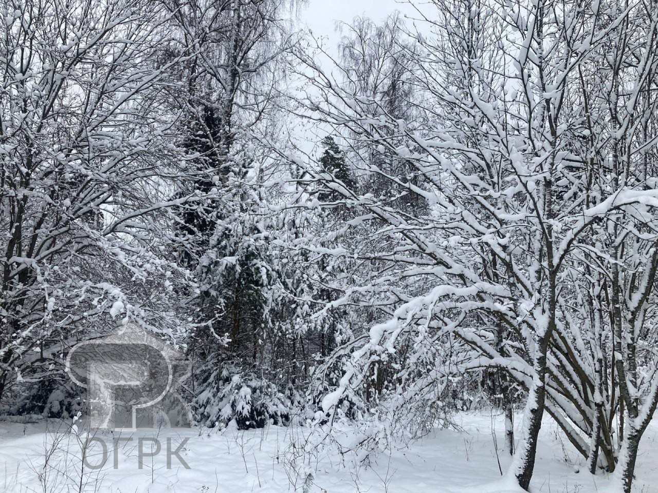 Купить землю, №386363