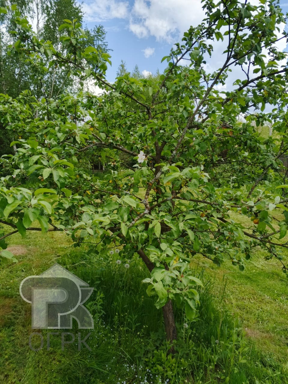 Купить дом, №385108