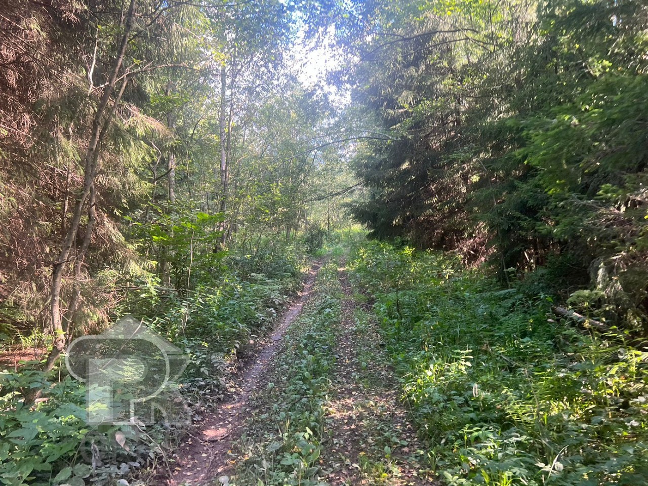 Купить землю, №386423