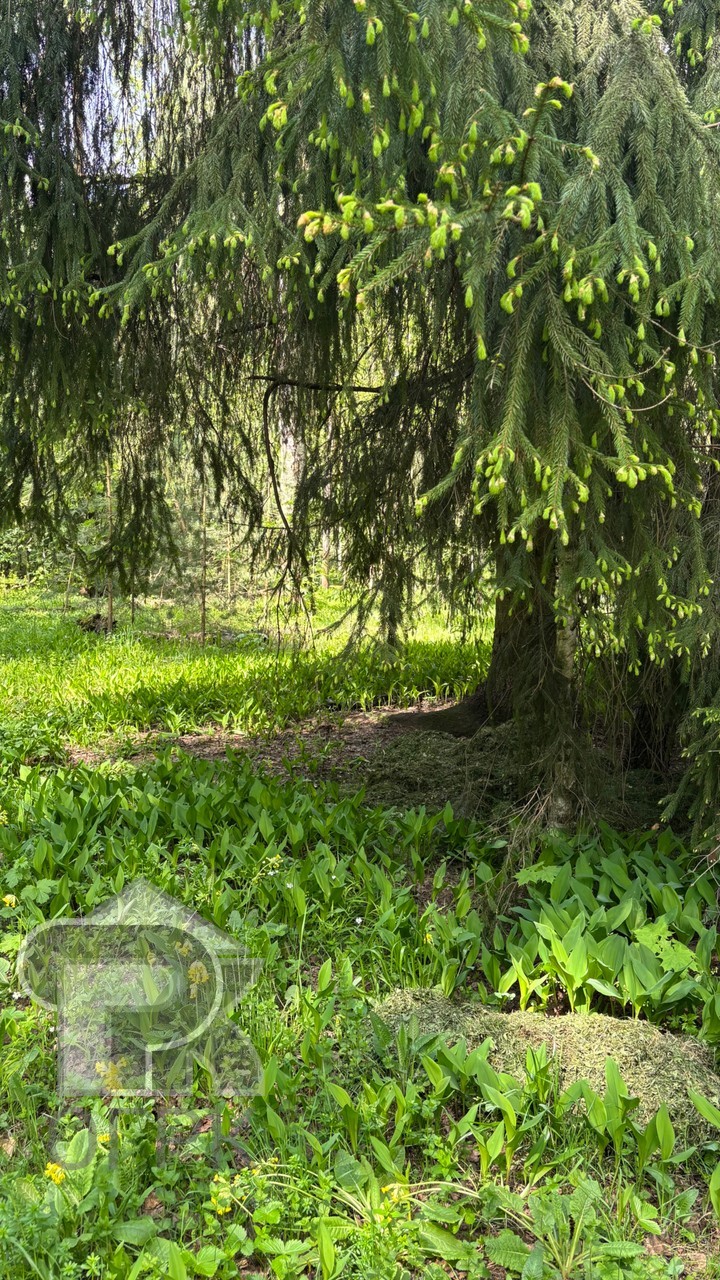 Купить 2-комнатную квартиру, №389306