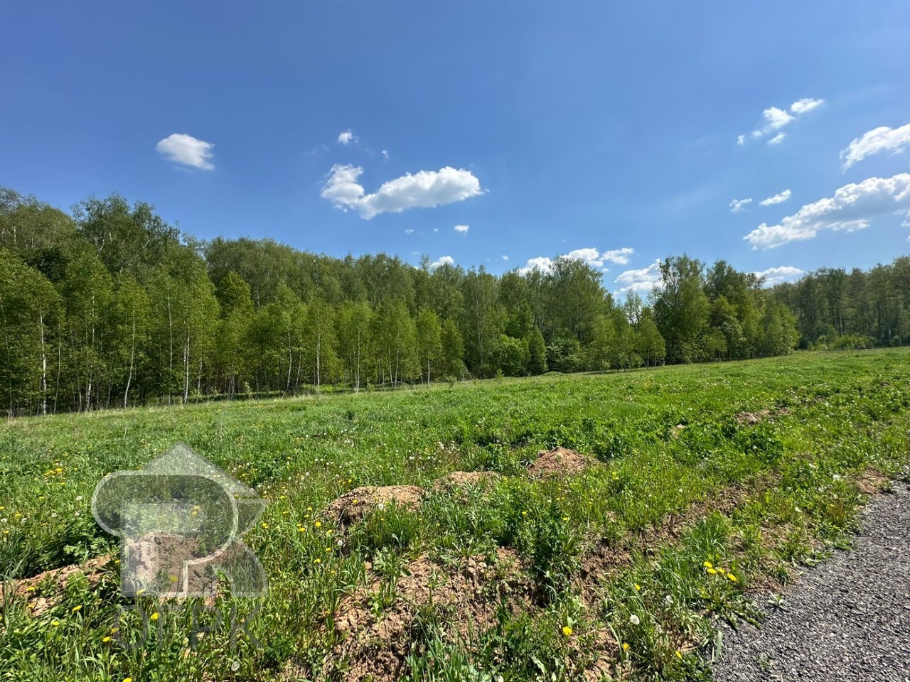 Купить землю, №385662