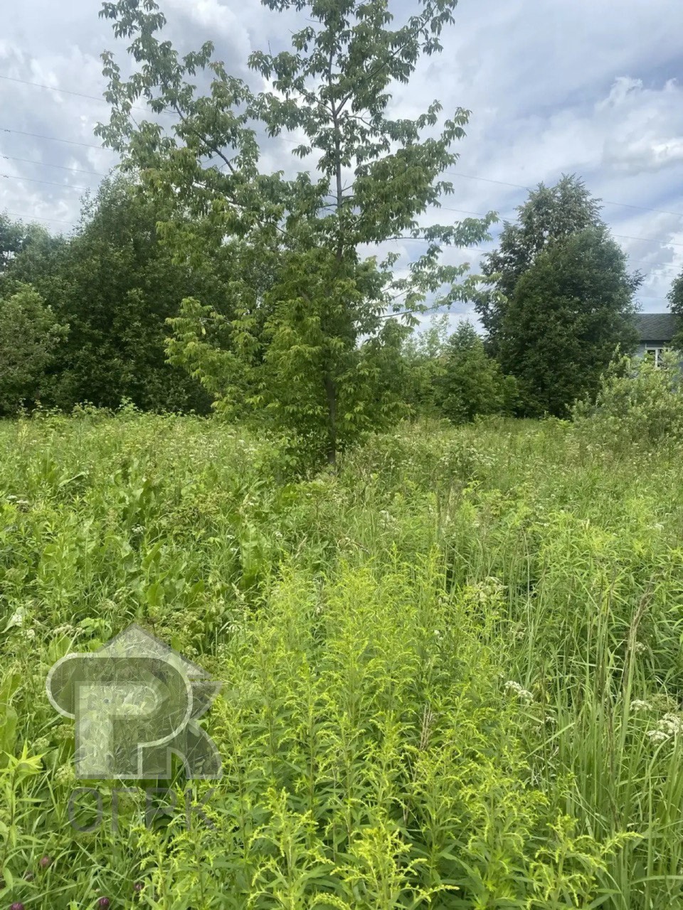 Купить землю, №388617