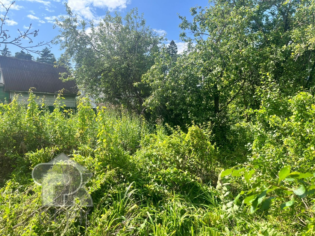 Купить землю, №386541