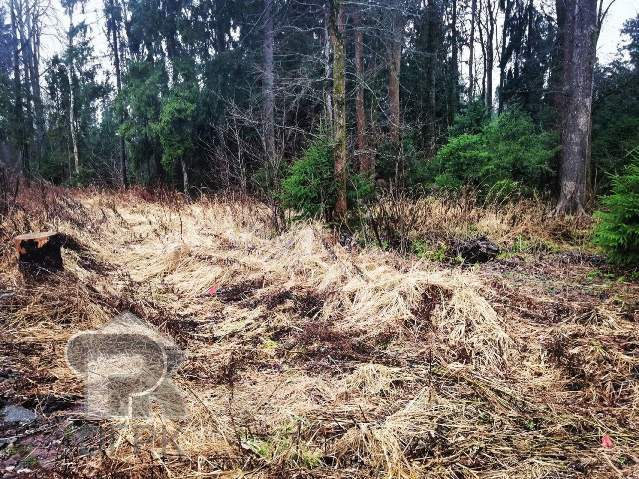 Купить землю, №381126