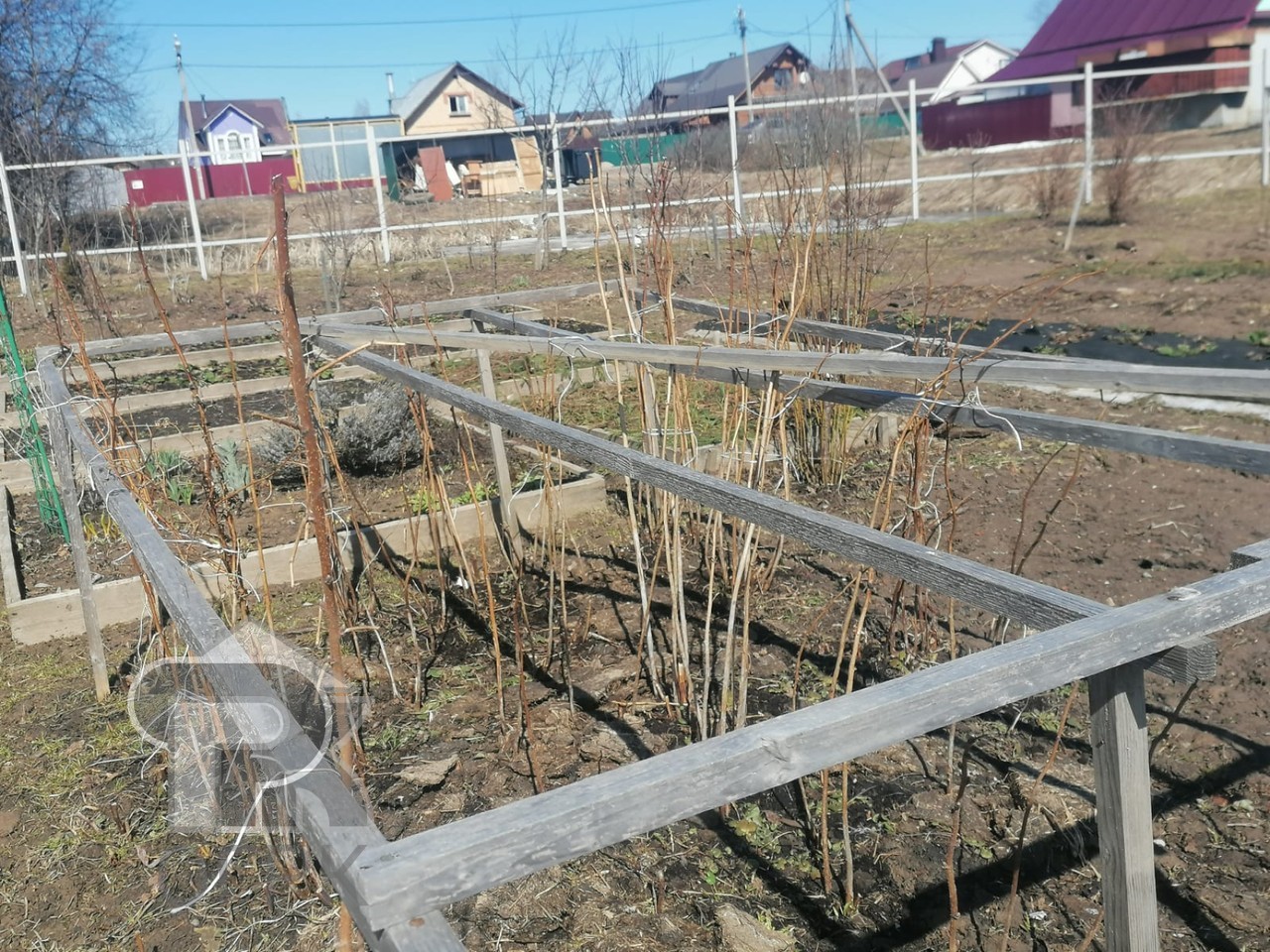 Купить землю, №353607