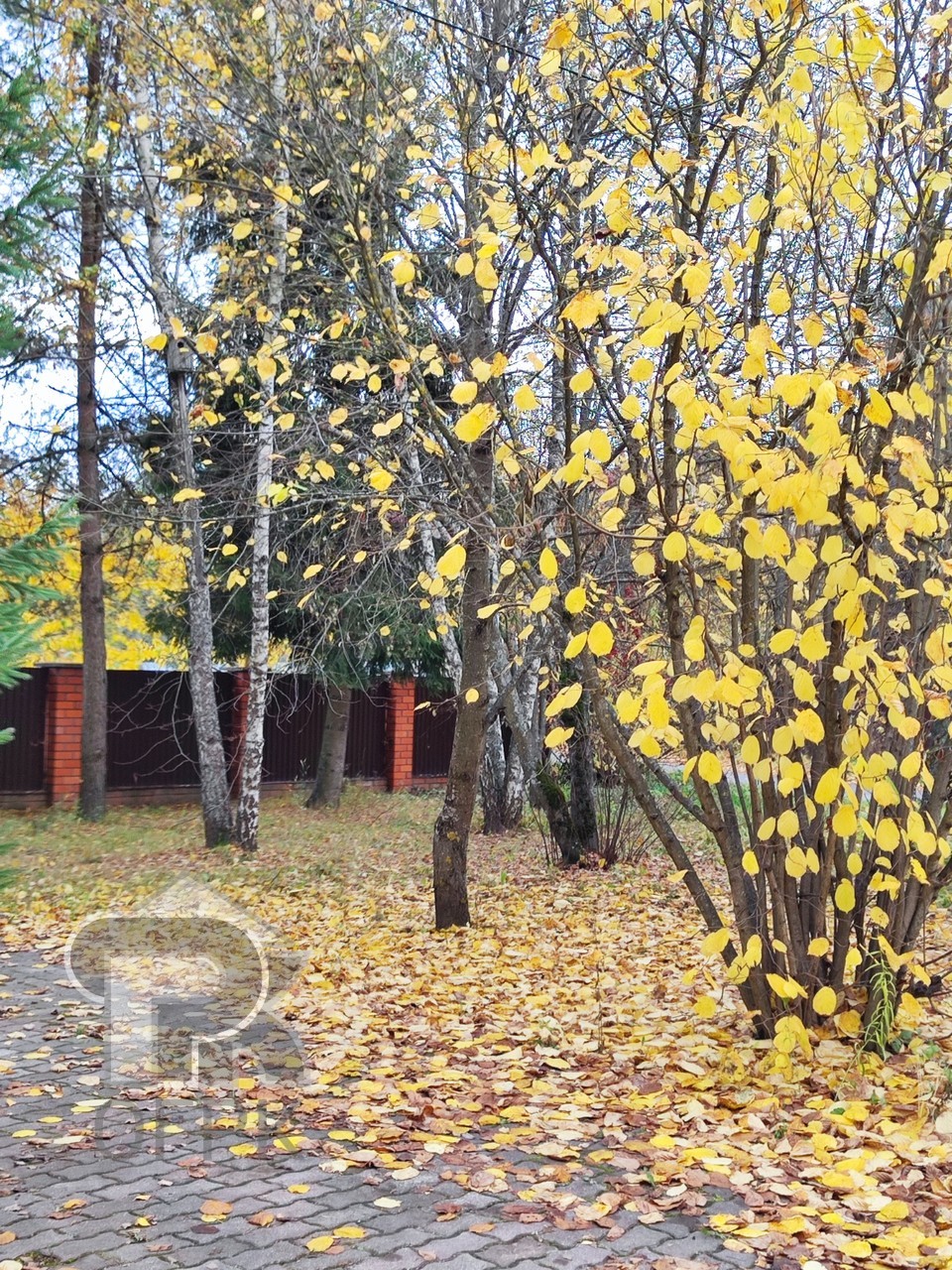 Купить землю, №387339