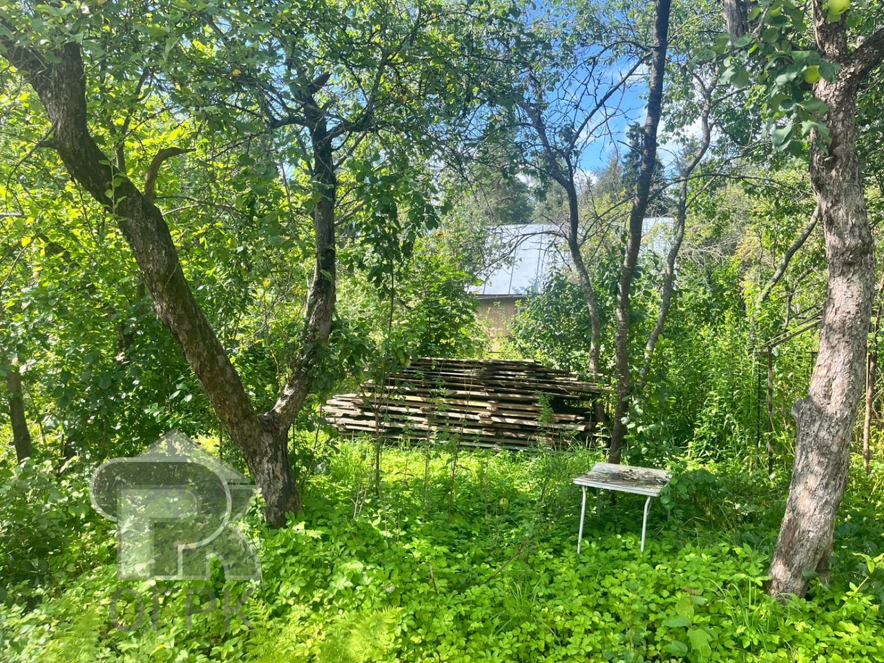Купить землю, №386541