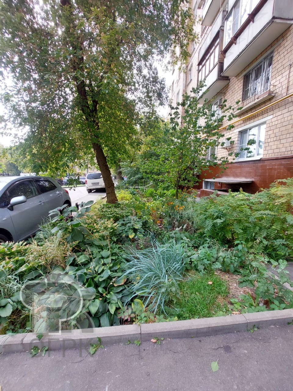 Купить 1-комнатную квартиру, №382450