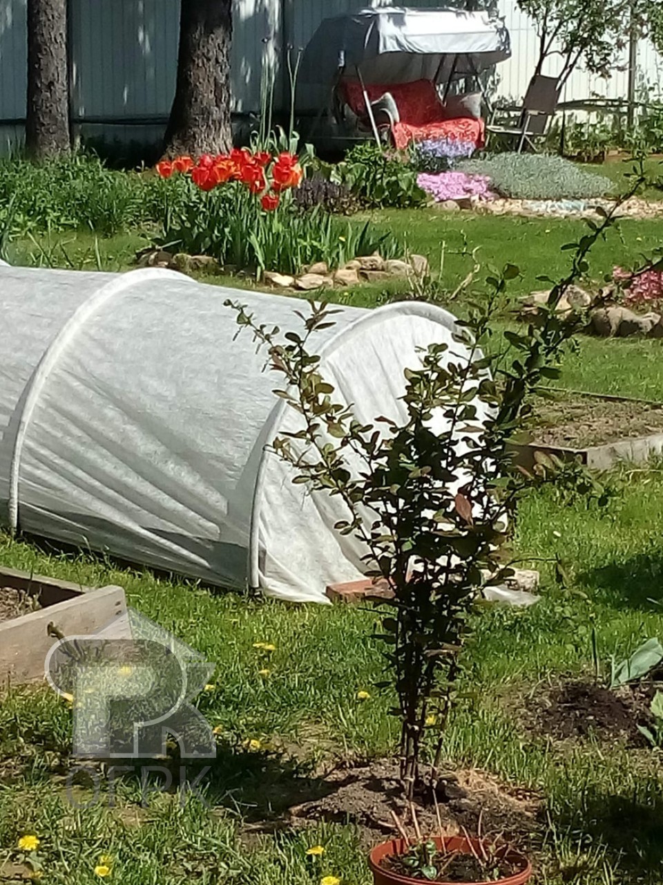 Купить дом, №383815