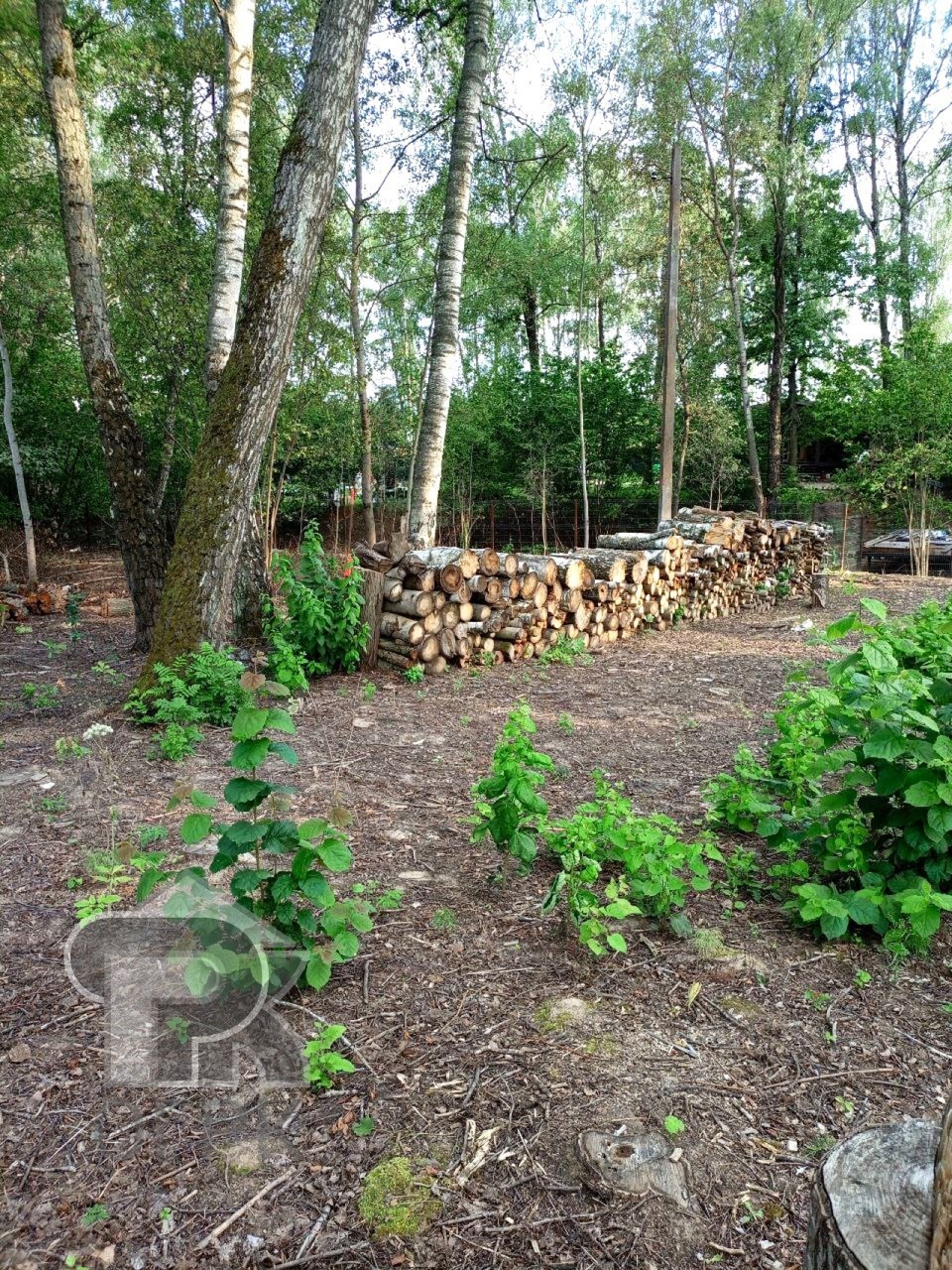 Купить землю, №386978