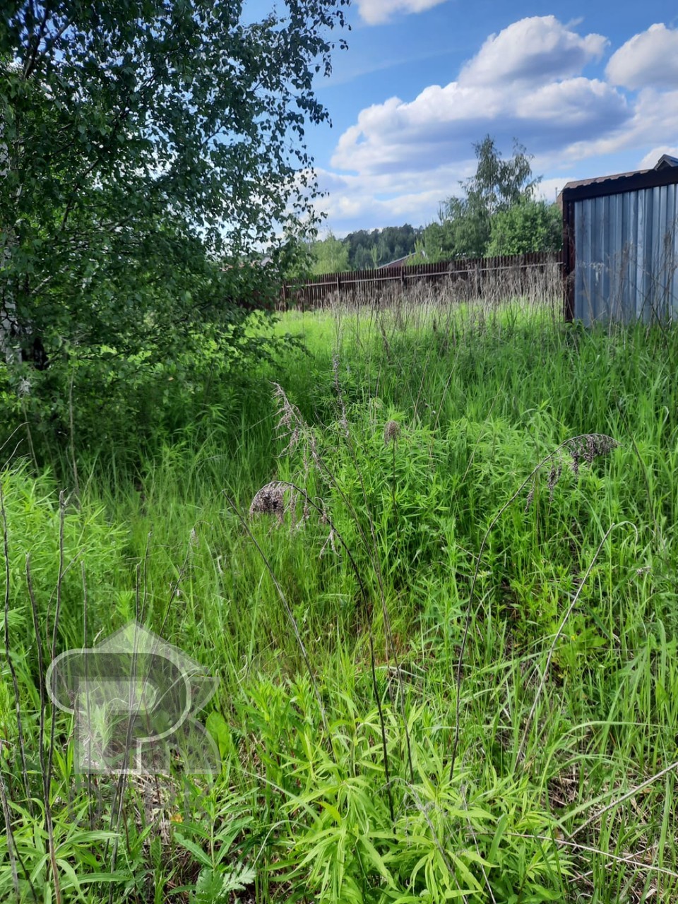 Купить землю, №386188